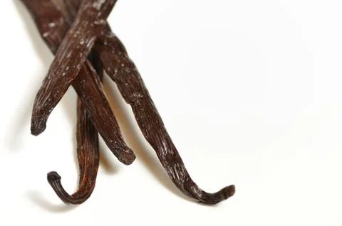 Tied vanilla beans Stock Photos