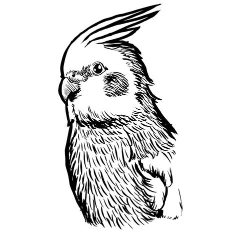 Tiel11 Illustrazione stock