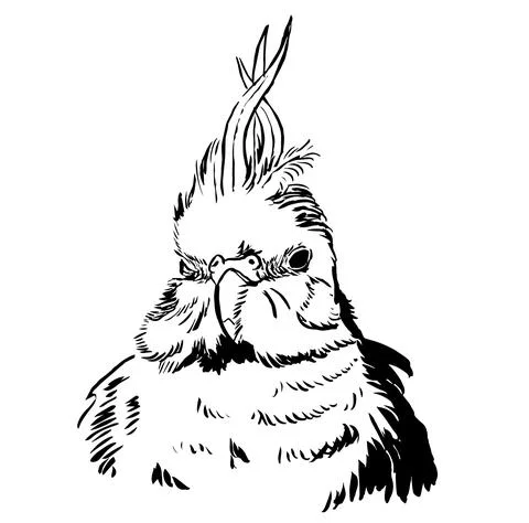 Tiel15 Illustrazione stock