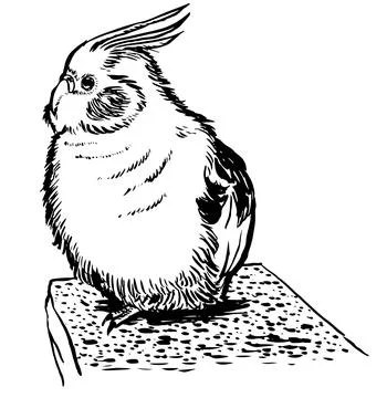 Tiel3 Illustrazione stock