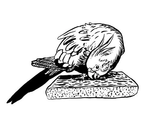 Tiel4 Illustrazione stock