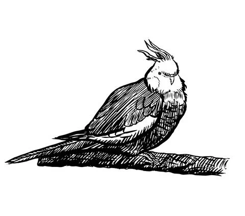 Tiel5 Illustrazione stock