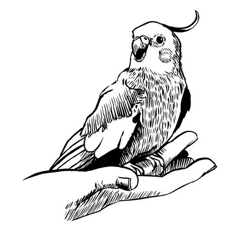 Tiel7 Illustrazione stock