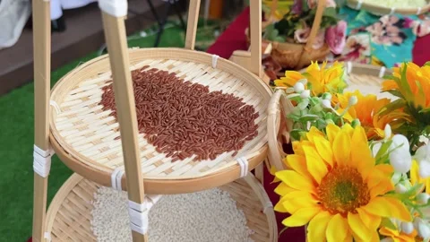 Tiered Bamboo Stand close up with Black and Brown and white Rice Varieties at Vidéo 342699392