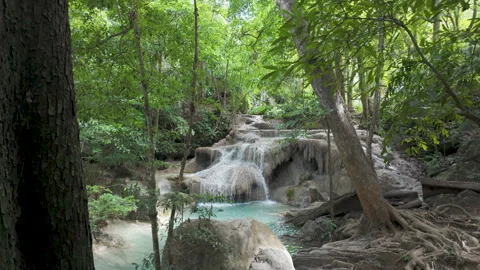 Tiered Jungle Waterfall Pool Behind Foreground Tree Trunk Stock Footage 339085243