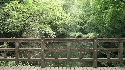 Tiergarten bridge in Berlin Stock Footage 41455018