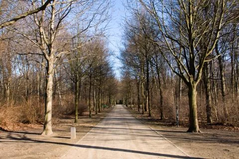 The Tiergarten in winter Foto stock