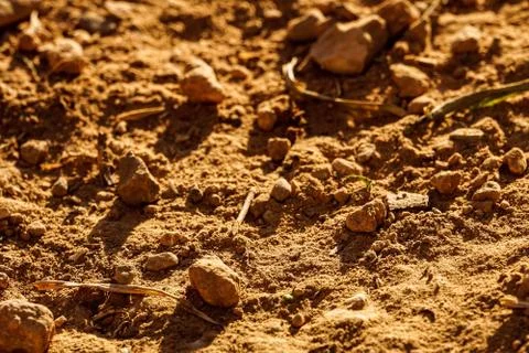 Tierra seca Stock Photos