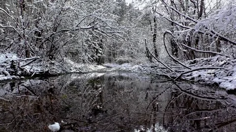 Tiesnavy 動画素材 82738419