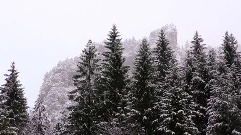 Tiesnavy Stock Footage 82921218