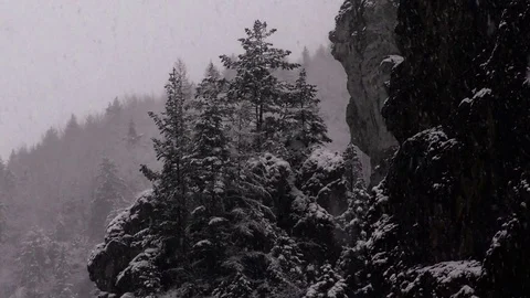 Tiesnavy Stock Footage 82921575