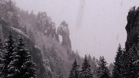 Tiesnavy Stock Footage 82921749