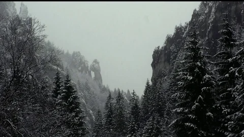 Tiesnavy Stock-Footage 82921777