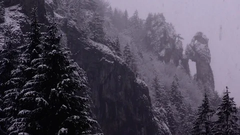 Tiesnavy 스톡 동영상 82922466