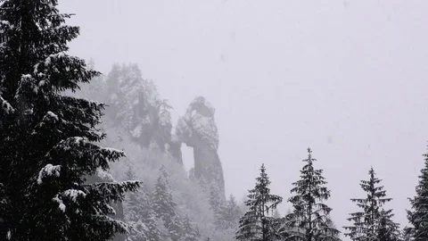 Tiesnavy Stock Footage 82922524