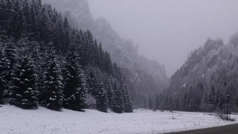 Tiesnavy 스톡 동영상 82922989