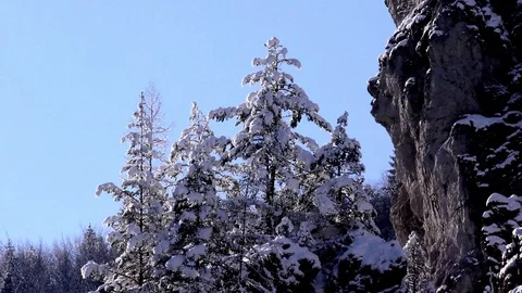 Tiesňavy Stock-Footage 82990443