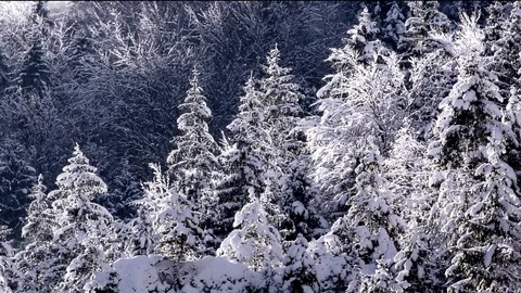 Tiesňavy Stock-Footage 82990475