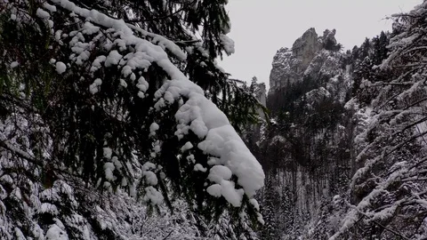 Tiesňavy Stock Footage 83020407