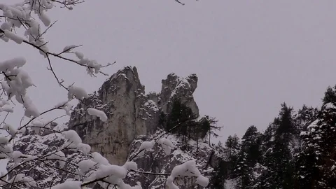 Tiesňavy Video stock 83020442