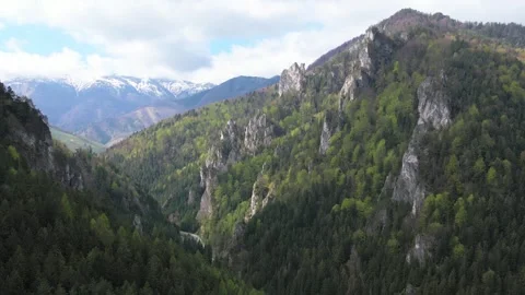 Tiesnavy 스톡 동영상 300669712