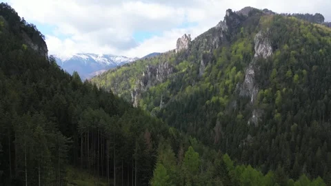 Tiesnavy Stock Footage 300961244