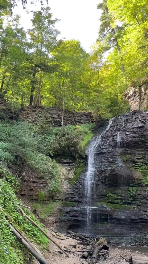 Tiffany Falls waterfall in Ancaster Vídeo Stock 326250361