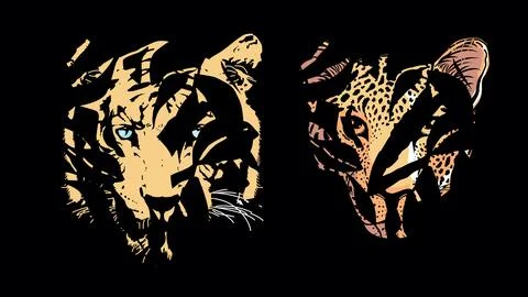 Tiger and leopard face Ilustración de archivo