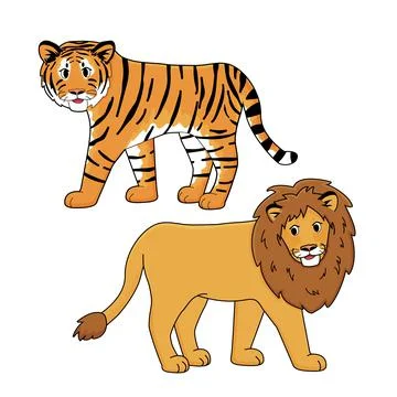 Tiger and lion vector isolated animals. Hand drawn cartoon drawing on white b Stock Illustration
