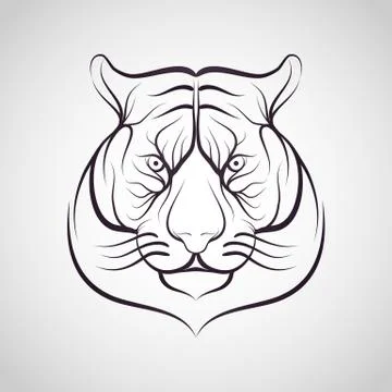 Tiger anger. Vector illustration of a tiger head. Stock Illustration