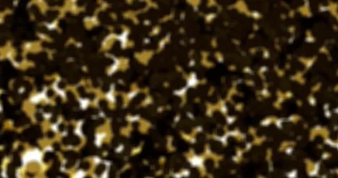 Tiger background, leopard, animal print Stock Footage 276438082