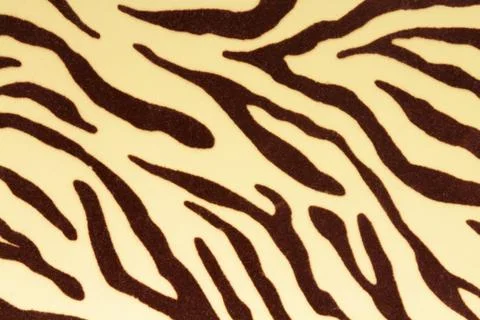 Tiger background Stock Photos