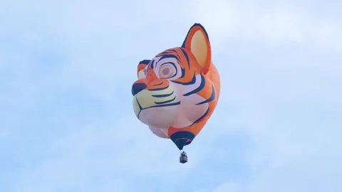 Tiger balloon flying over sky Stock Footage 311572216