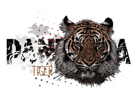 Tiger banner vector Illustration イラスト素材