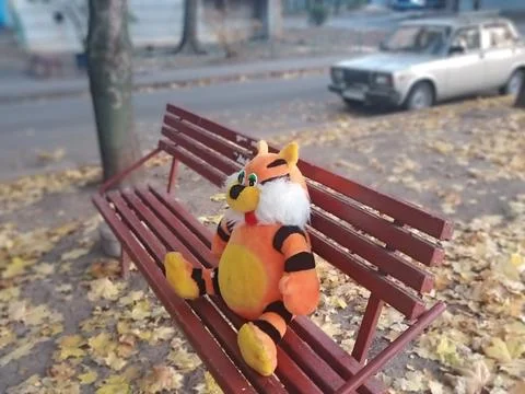 Tiger on a bench 스톡 사진