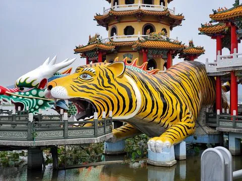 Tiger Boga Stock Photos
