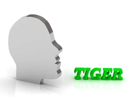 TIGER - bright color letters and silver head mind on a white background Stock Illustration