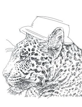 A tiger with a cap Stock Illustration