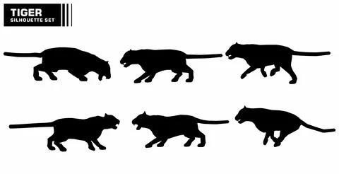 Tiger character silhouette set vector Stock Illustration