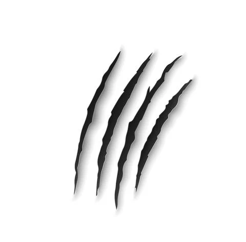 Tiger claw marks, scratches, predator nails trail Stock Illustration