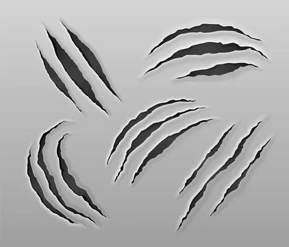 Tiger claw scratch on paper vector. Bear paw mark Stock Illustration