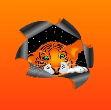 Tiger cub Stock Illustration