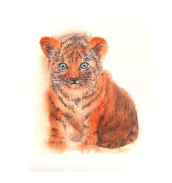Tiger cub, isolated on a white background. Stock Illustration