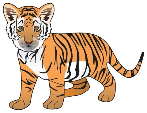 Tiger cub vector drawing on isolated background cartoon mammal animal character Stock Illustration