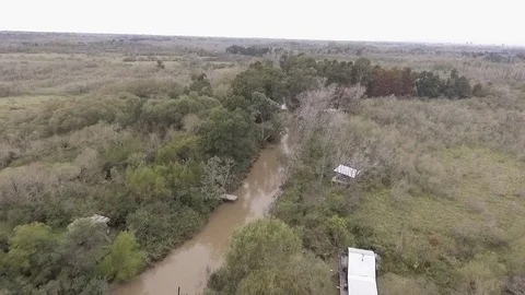 Tiger Delta Rivers Stock Footage 78209594