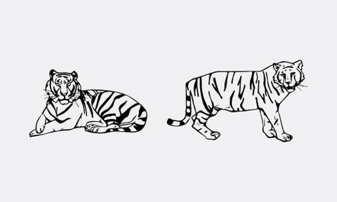 Tiger emblem set Illustrazione stock