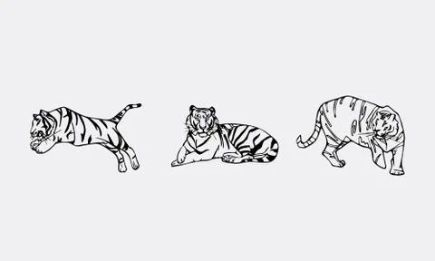 Tiger emblem set Stock Illustration