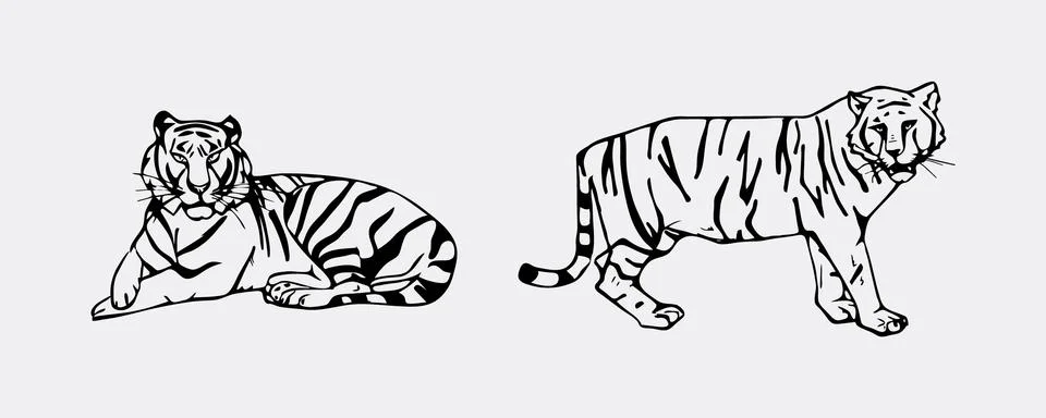 Tiger emblem set Stock Illustration