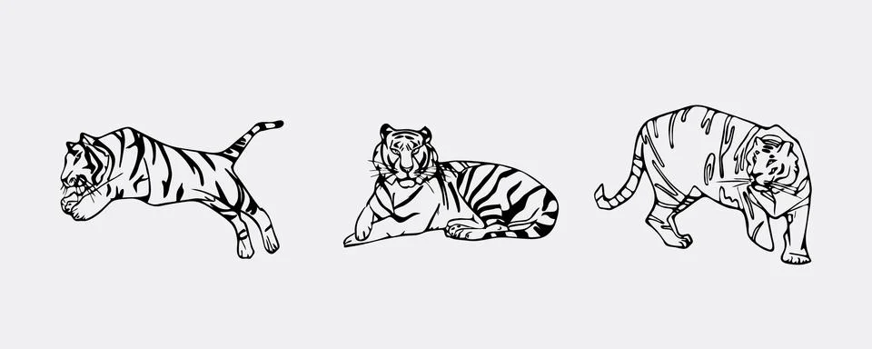 Tiger emblem set Stock Illustration