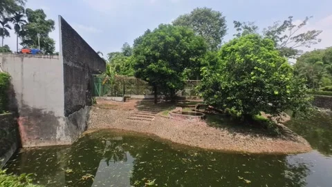 The tiger enclosure Stock Footage 282654057